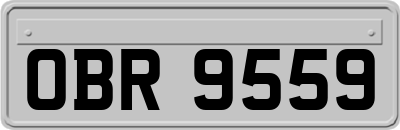 OBR9559