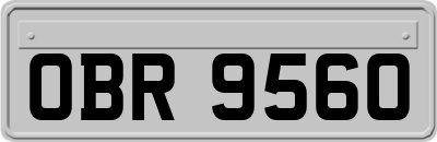 OBR9560