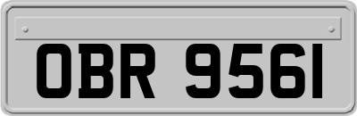 OBR9561