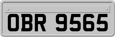 OBR9565