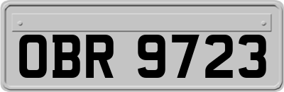 OBR9723
