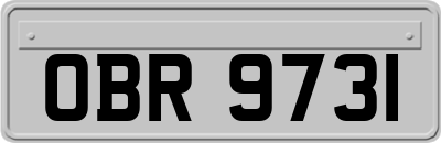 OBR9731