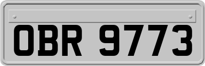 OBR9773
