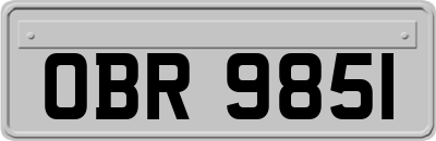 OBR9851