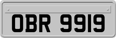 OBR9919