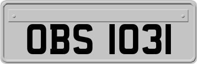 OBS1031