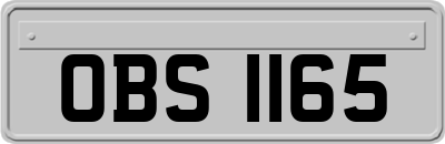 OBS1165