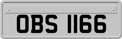 OBS1166