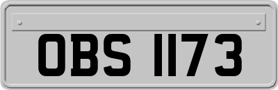 OBS1173