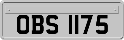OBS1175