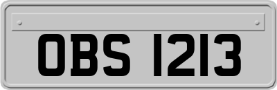 OBS1213