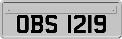 OBS1219