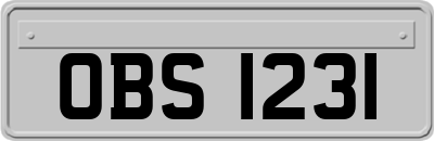 OBS1231