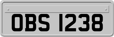 OBS1238
