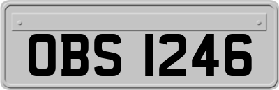 OBS1246