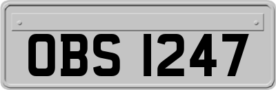 OBS1247