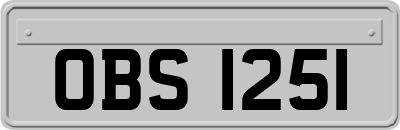 OBS1251