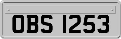 OBS1253
