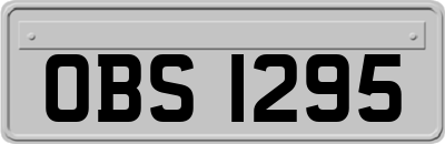 OBS1295