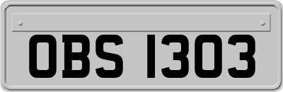 OBS1303