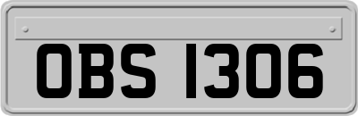 OBS1306
