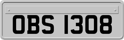 OBS1308