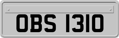 OBS1310