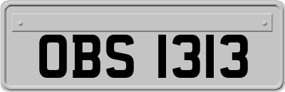 OBS1313