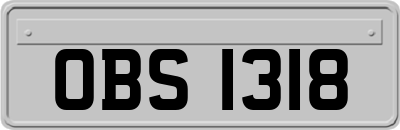 OBS1318
