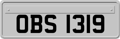 OBS1319