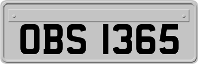 OBS1365