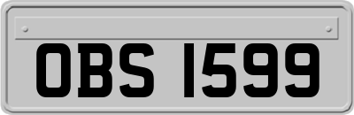OBS1599