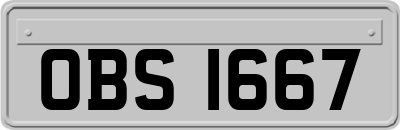 OBS1667