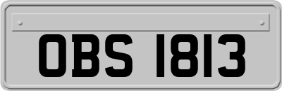 OBS1813