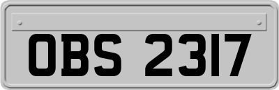 OBS2317