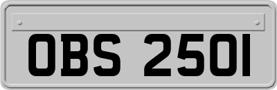 OBS2501