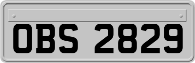 OBS2829