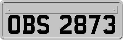 OBS2873
