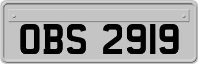 OBS2919