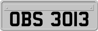 OBS3013