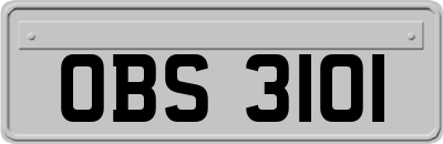 OBS3101