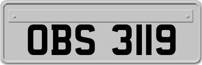 OBS3119
