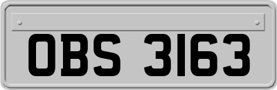OBS3163