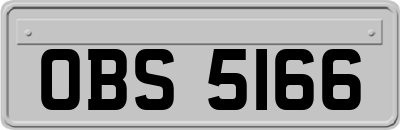 OBS5166