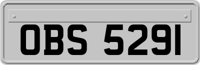 OBS5291