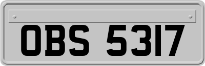 OBS5317