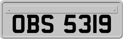 OBS5319