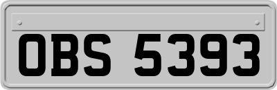 OBS5393