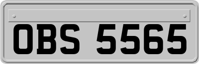 OBS5565