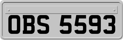 OBS5593